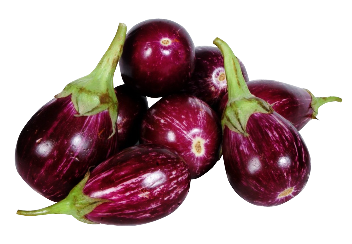 Brinjal Seeds
