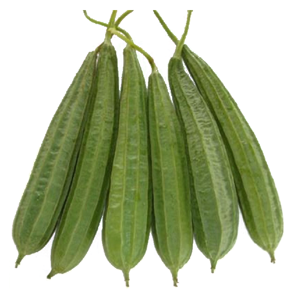Ridge Gourd Seeds